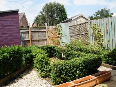 Picture 14